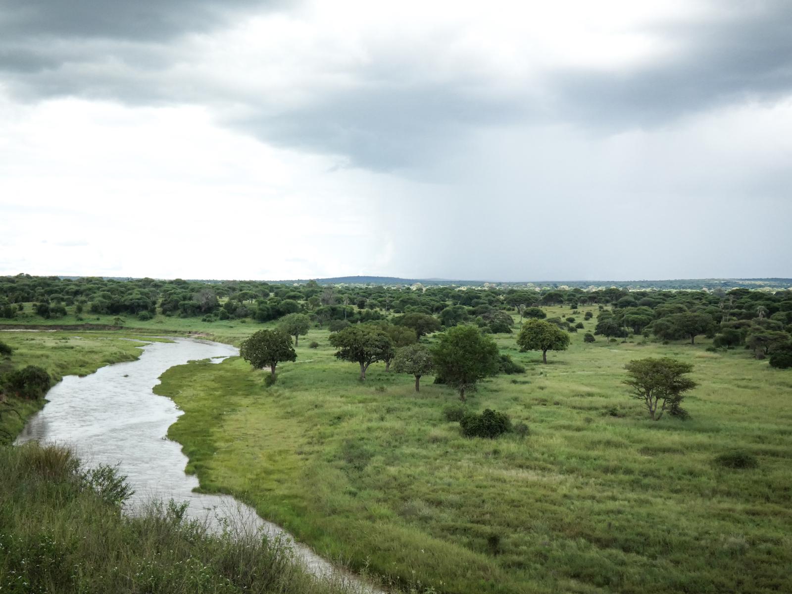 The Tarangire river winding through green plains under a stormy sky